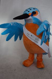 Kostium maskotki Zimorodek